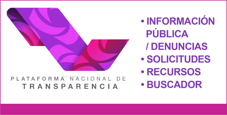 Boton TRANSPARENCIA